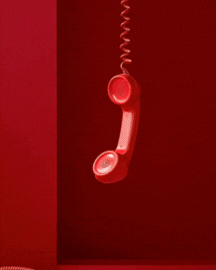 Social Era paid ads and performance marketing services Netherlands